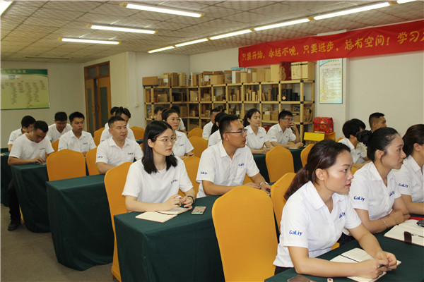 奮戰(zhàn)6月！伽立集團(tuán)銷售會(huì)順利召開